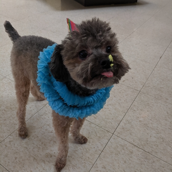 Meet your Posher, Katelyn - Picture 2 of 6